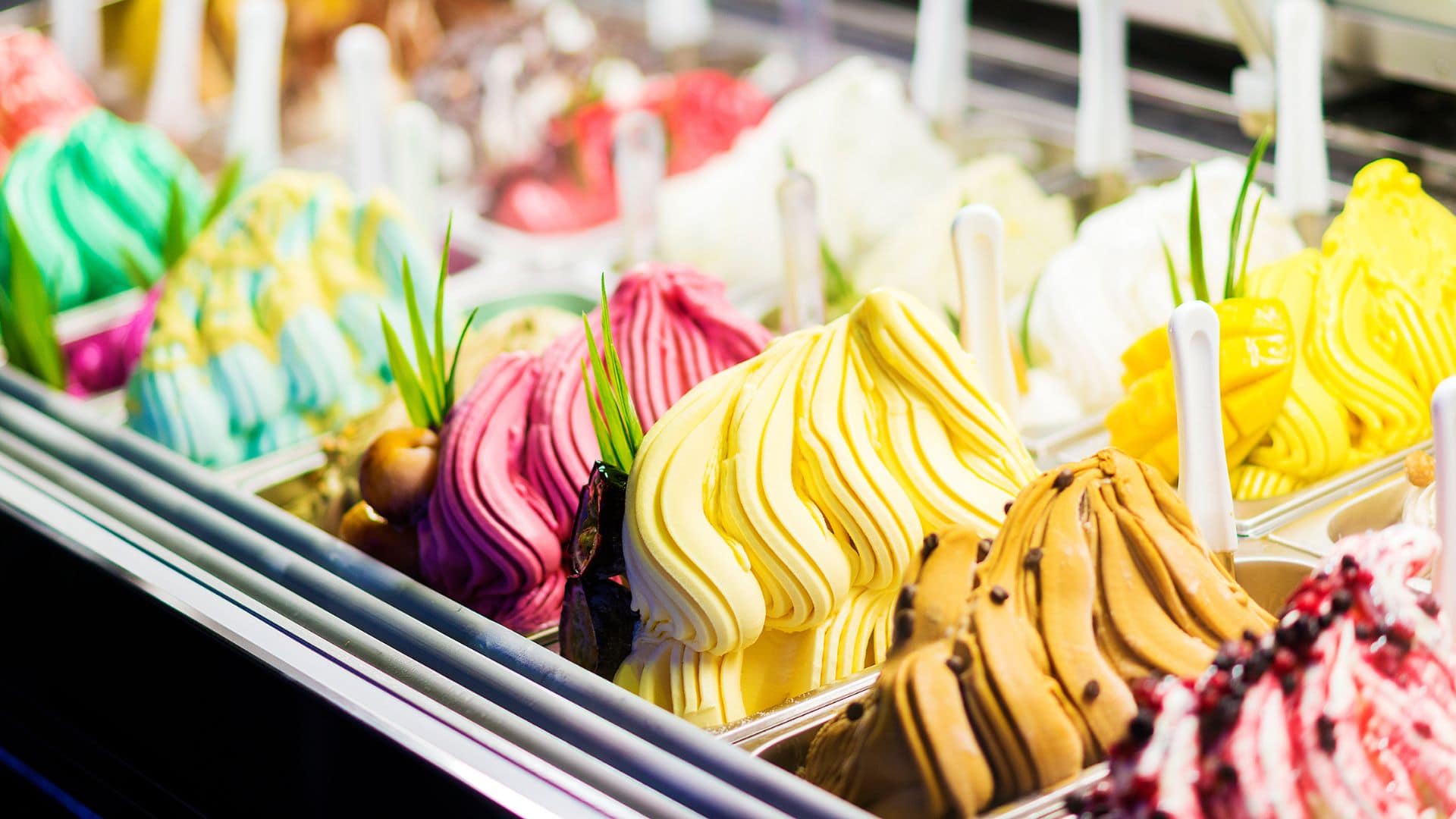 Italian Gelato display case in the La Gelato Academy laboratory